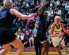 Johnston girls basketball vs. Dowling Catholic: 5A state finals recap