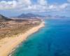 Sargasso collection on Porto Santo beach must be carried out in accordance with the Law