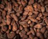 Cocoa price doubles since the beginning of the year and extends historic rally