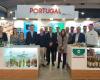 Madeira brand is “a selling point”, highlights regional secretary of Economy