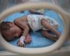 The number of newborns on the verge of death in Gaza increases, says WHO