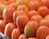 Climate puts pressure on vegetable and fruit prices in Brazil, points out Conab | Vegetables