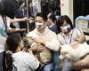 Taipei metro to offer special pet trains March 31