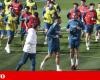 Portugal faces Slovenia with a rehearsal here and a few tests there | International football