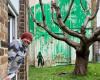 ‘Are you Banksy?’: the day the world’s most enigmatic street artist painted a mural on the side of my house | World