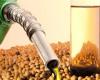 Ethanol price rises in the South region