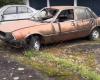 Abandoned Peugeot dealership has dozens of cars rotting