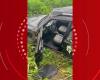 Car rollover leaves a young woman dead and three injured on BR-262 | Midwest