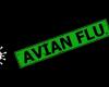 Avian flu outbreaks hit poultry in Japan, Philippines, Taiwan