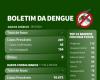 Dengue Bulletin – 3/28/2024 – Blumenau City Hall