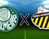 Palmeiras x Novorizontino: where to watch today, time and team lineup