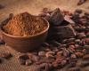 Cocoa prices continue to rise and “it is difficult” to say whether they have already reached a peak