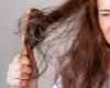 Hair loss in spring: experts reveal what to do to avoid it