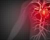 After all, what does myocarditis have to do with infections and vaccines?