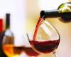Vidigueira Wine Event promotes wine sector