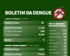 Dengue Bulletin – 4/1/2024 – Blumenau City Hall