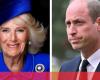 How Queen Camilla went from villainous stepmother to Prince William’s replacement – World