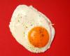 EGG X CHOLESTEROL: unveiling myths and truths