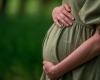 The Gazette | Anvisa approves vaccine for pregnant women that protects babies against bronchiolitis