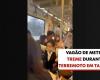 Video shows subway car shaking during earthquake in Taiwan | World
