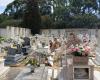 Herd of goats invaded Barreiro cemetery and ate flowers from the graves