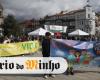Archbishop of Braga calls for participation in the Walk for Life
