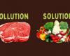 Bruno Blecher | War on meat fails to reduce consumption