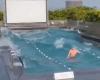 VIDEO: Tourist is surprised by earthquake while swimming in pool in Taiwan