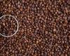 Global coffee demand drives coffee prices