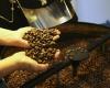 Arabica coffee prices rose this Thursday (25)