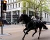 Sealed and covered in blood. Horses break free during exercise and run through the streets of London