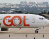 GOL shares plummet after dog dies on flight