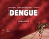 Epidemiological Bulletin records 2,440 positive cases of dengue; find out how to prevent