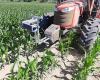 University of Coimbra coordinates a European project that aims to develop robotics and machine learning for digital agriculture