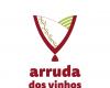 Arruda dos Vinhos with worse budget execution and net result in 2023