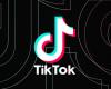 TikTok vs USA: app CEO wants to overturn ban in court after Biden sanctions law
