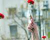 Portugal celebrates 50 years of the Carnation Revolution with an extended program – Current Affairs – SAPO.pt