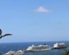 Port of Funchal today handles a total of 7,414 people