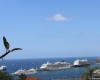 Funchal today full of ships and visitors | Funchal News | Madeira News – Information for everyone for everyone!