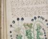 Mysterious Voynich Manuscript Contains Sex Advice and “Women’s Secrets”