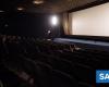 Films “Primeira Obra” and “Amo-te Imenso” premiere in cinemas today