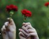 Portugal: Carnations that brought development