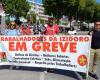 Montijo | Izidoro Grupo Montalva workers on 24-hour strike