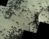 European Space Agency probe photographs “spiders” on Mars