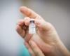 American expands age range for dengue vaccination to children aged 10 to 14 | Campinas and Region