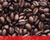 Association wants Timor coffee as a UNESCO protected heritage site – Africa