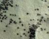 ESA probe photographs “spiders” on the surface of Mars