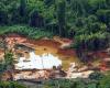 impacts of illegal gold mining in the Amazon
