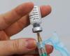 Porto Alegre receives first batch of dengue vaccine this Thursday