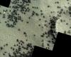 ‘Spiders’ on Mars? European Space Agency records intriguing image; look
